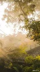 『你的育儿经』停课不停学——建宁县城关幼儿园宅家特辑十（小班年段）