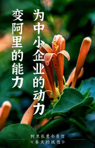 「封面新闻」阿里“春雷计划”从“浙”开始 强强联合赋能升级“浙江制造”