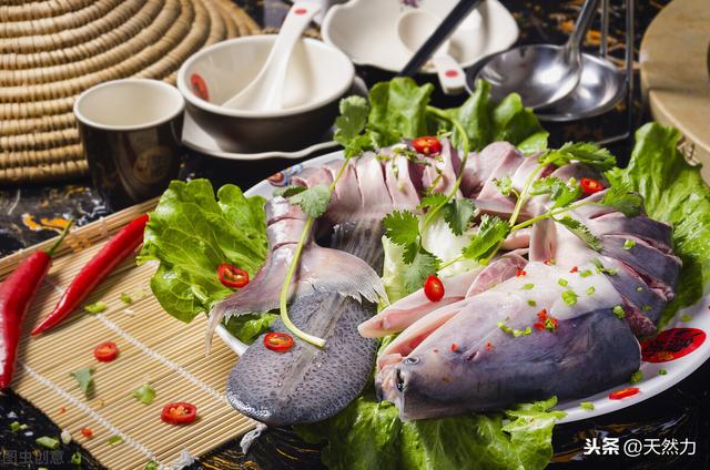 什么鱼刺少好吃，为什么鱼会那么多刺，什么鱼的刺少