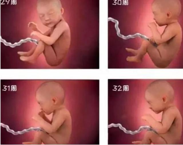 #超级宝妈#孕晚期，这些迹象说明进入胎儿的“猛涨期”，孕妈们要注意