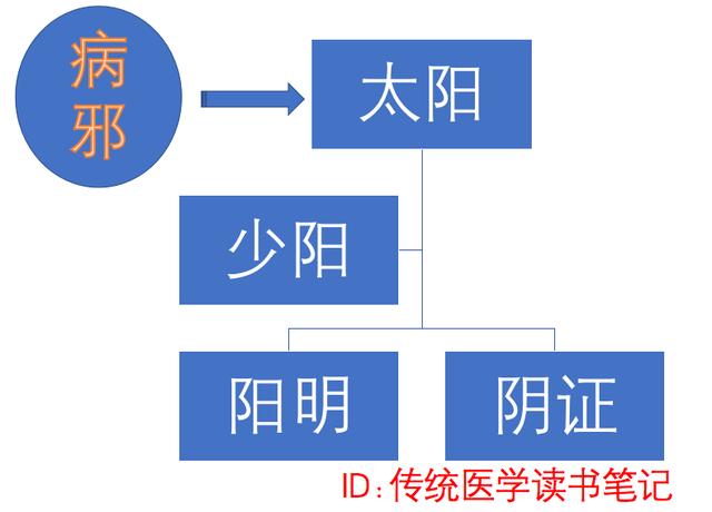 中医干货！想学经方，不会六经辨证，没法用！哪六经？三阳三阴