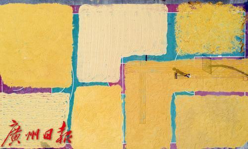 广州|老夏观察26 | 广州这项数据，26年一遇