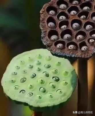 幸福的灯火|宝宝有这10种症状,说明已经消化不良了,可能影响生长发育
