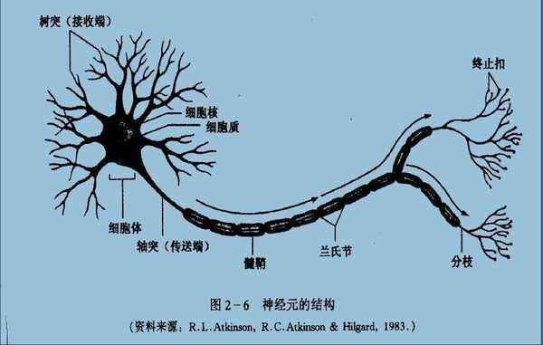 超级宝妈▲智商高的孩子，小时候多半都有这3个“怪癖”，家长别乱管教