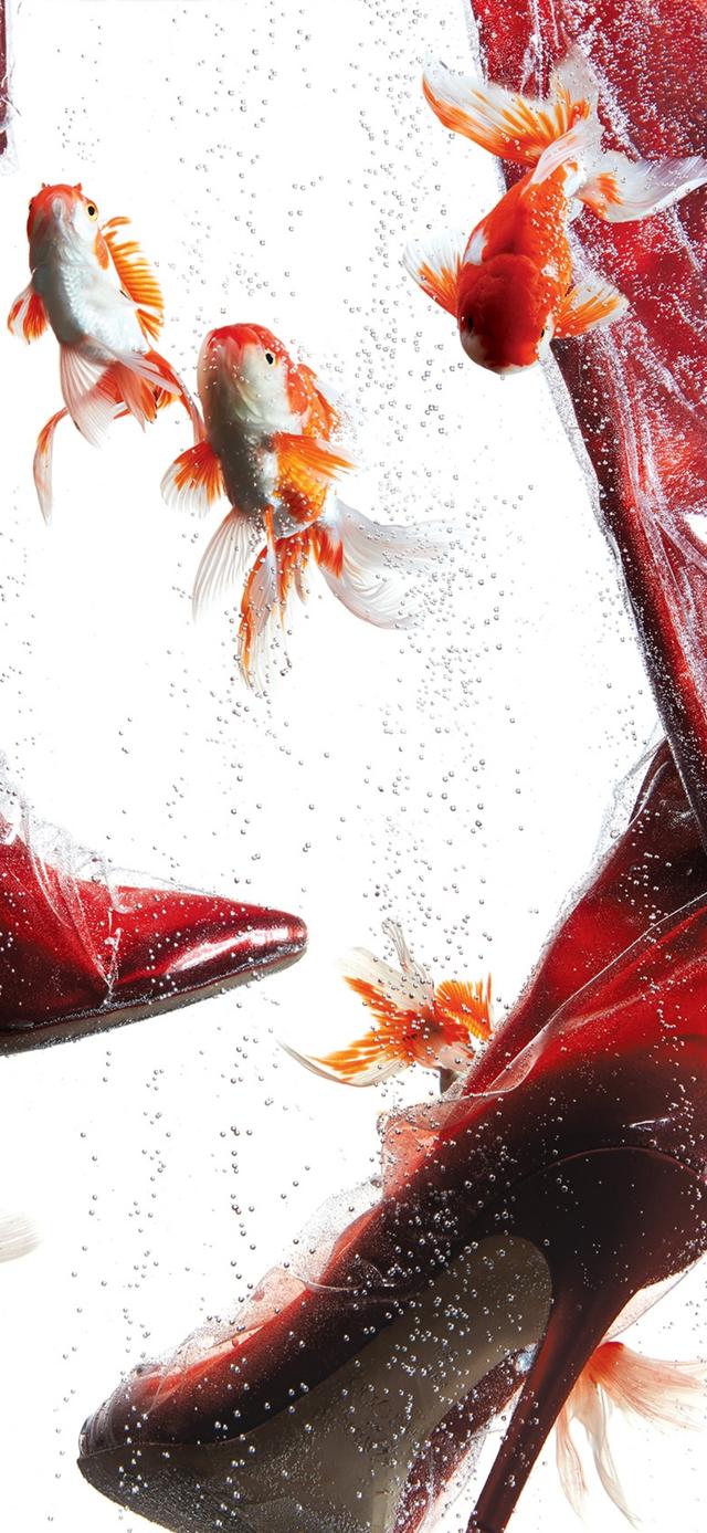 壁纸优选：分享一些不错的手机壁纸