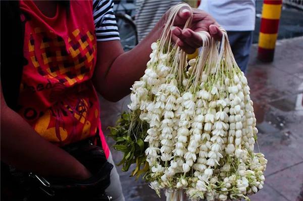 中青在线|马天宇唱《茉莉花》：让我来将你摘下，送给别人家｜我和我的家乡