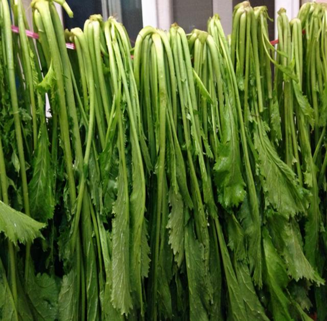 腌雪里蕻，不能直接撒盐！这3步是关键，颜色碧绿，味咸香而不酸