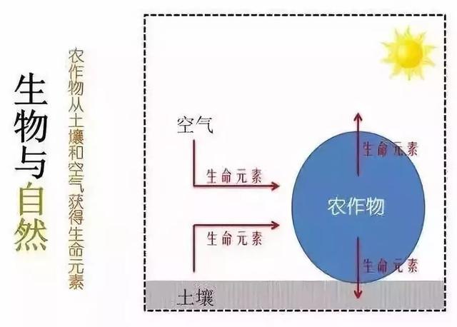 找到自愈癌症的神秘钥匙：他治愈了20多个癌症案例