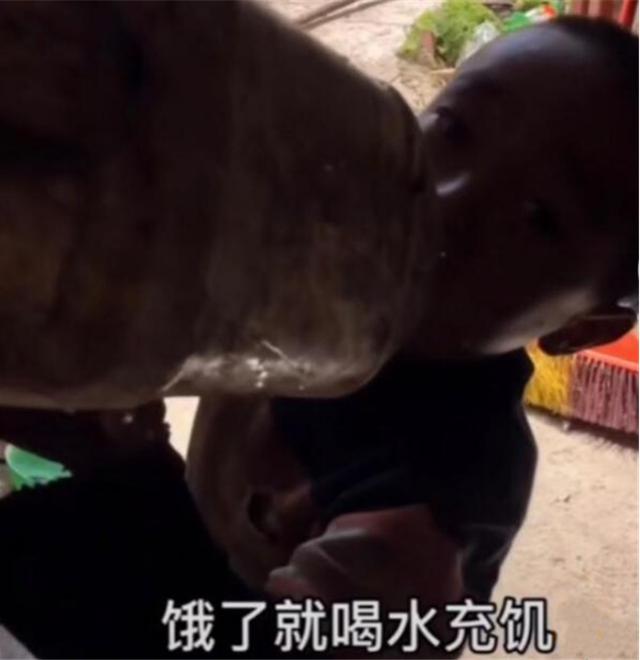 25岁宝妈生了4个娃，穷的没奶水让娃喝水充饥，没钱为啥生娃？