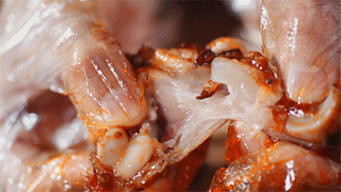 想不想来一只热气腾腾的烤猪蹄？来七宝老街！还有……