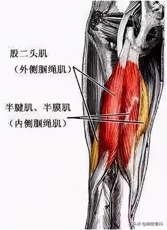 膝关节疼=关节炎？骨科医生：根据这 5 个位置找原因