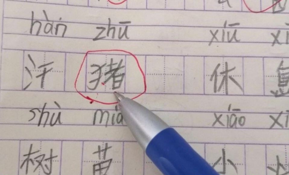 「文字上的青年」“寒假作业被我妈炒菜了”，千万不要随便动小学生的作业
