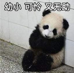 我爱我家|宝宝又发烧了？别急，学会这招，不打针不吃药免去你烦恼