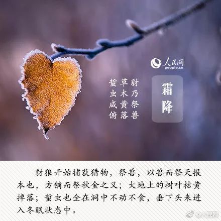 明日霜降入冬前最凶险的的日子到了不懂规矩要吃亏为了家人保存
