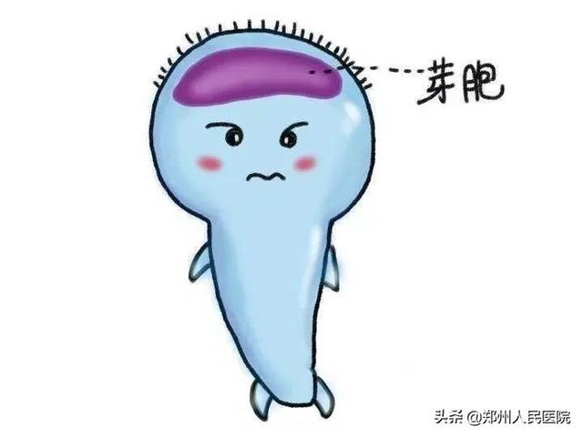 就是这个小东西，差点要命