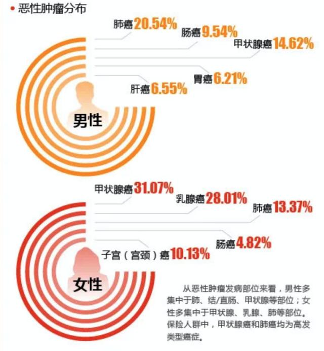 理赔|阳光人寿2020年赔付总金额28亿 个险客户获赔率达99%
