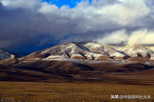 肾气不固，心肾不交，中医如何调理？
