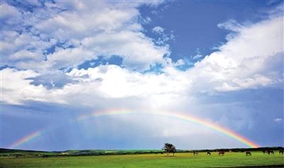 「约吗旅行」静谧的草原