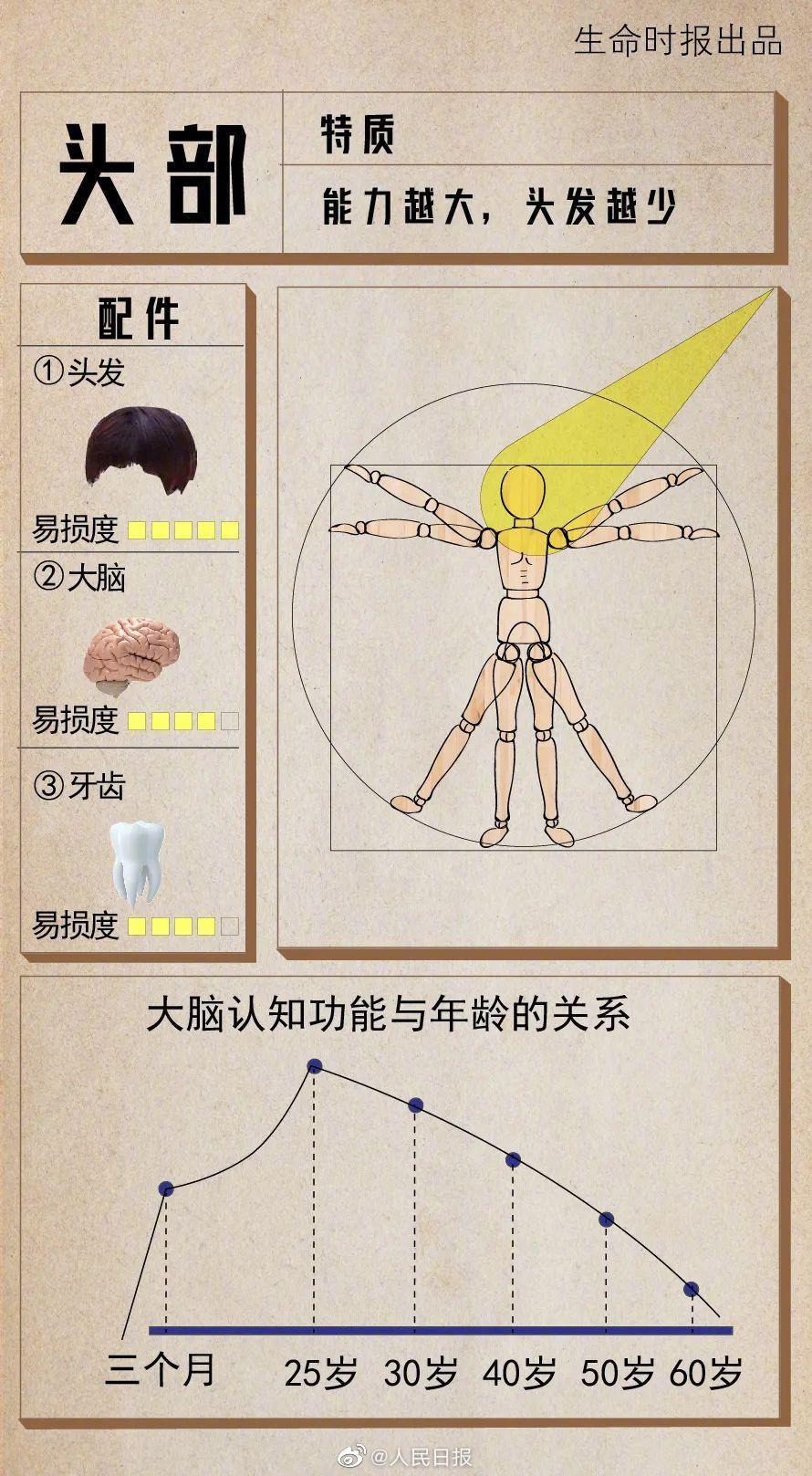 保养|愿你健壮如牛！转存这份2021版人体保养说明书