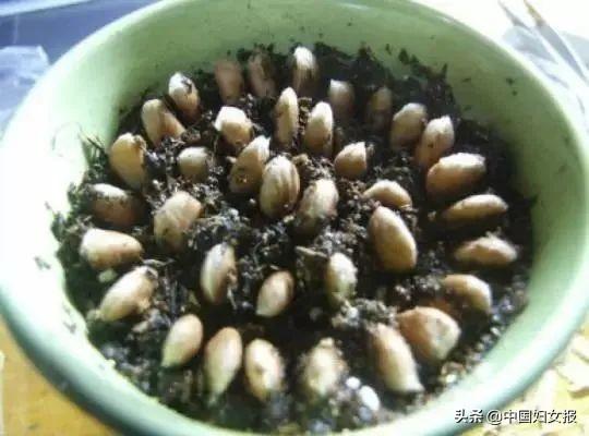 中国妇女报：特殊时期 特别家教 | 战“疫”动起来（四十一）