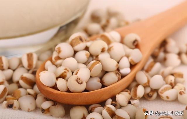 薏苡仁除了能除湿痹还有这些功效哦！早吃早受益