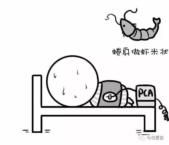 「你的育儿经」生孩子不痛是怎样一种感觉？这家医院每年有很多人刷着微信就生了