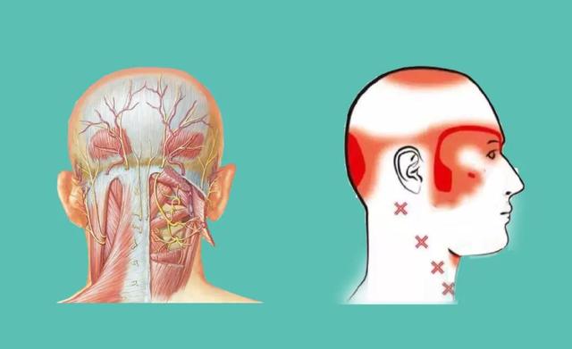 神奇的枕下肌群，是颈肩痛的关键？如何松解？