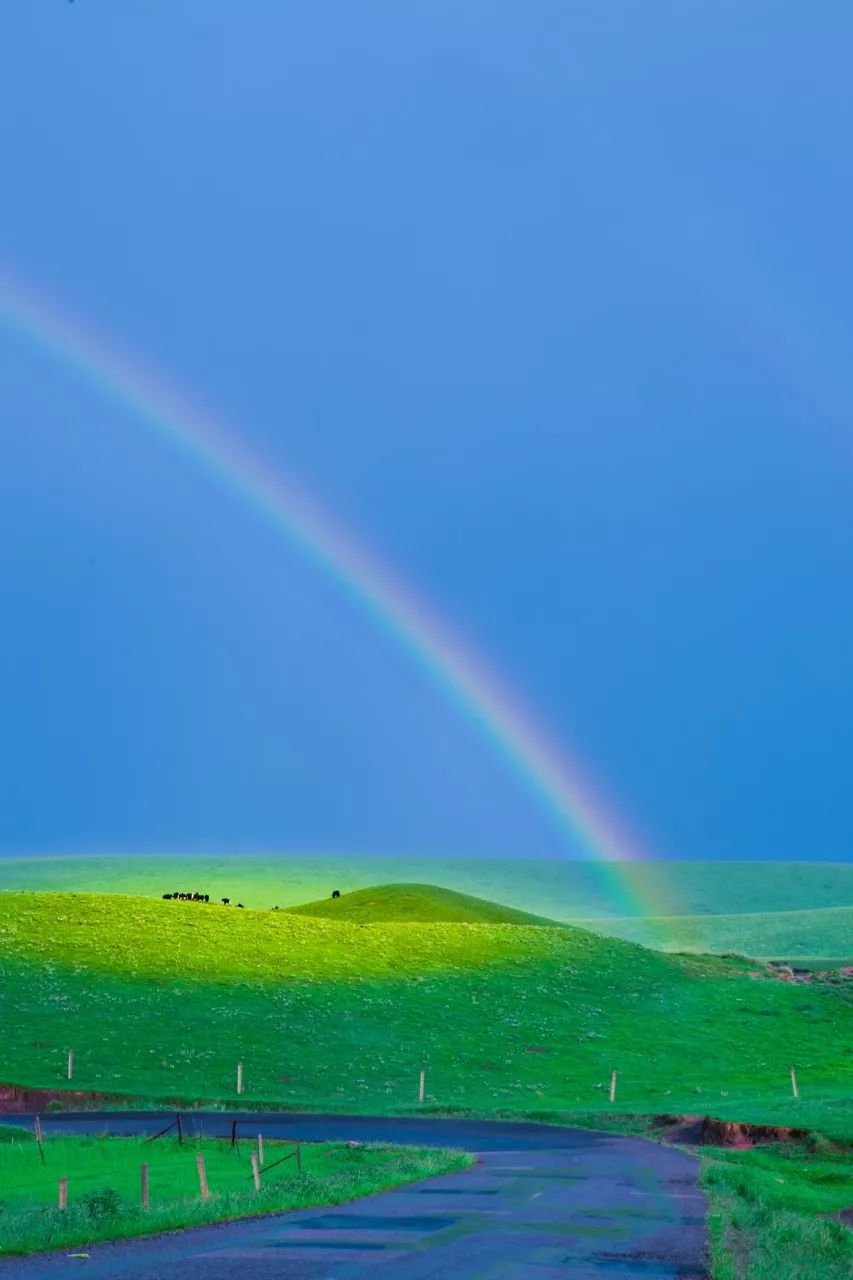 [浅唱风]联合国点赞的中国最低调省份，居然深藏如此宝藏小城！几乎浓缩西北全部的美，然99%的人路过却错过了！