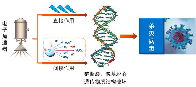 医疗|我国首台电子束处理医疗废水示范装置投入使用，可去除多种病毒