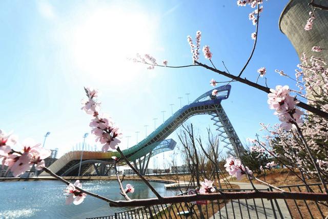 北京日报客户端:北京天气最新预报:今天风寒效应明显,未来几天最高气温在15℃