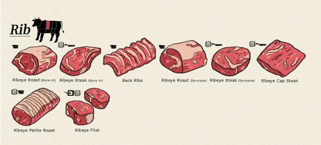 牛肉|干饭人必看！关于牛肉，那些你不知道的事……