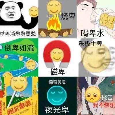 「开心的笨小孩」四六级官网终于有了新动作！就快要考试了？？