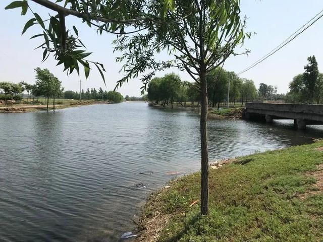 #玩乐足迹#这个村被称为“巨鹿小江南”