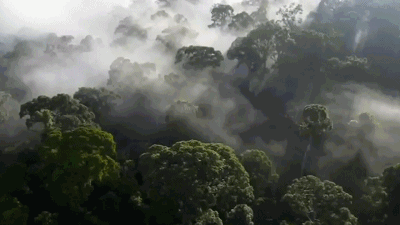 变态脑洞？小米生态造了“张”「空气面膜」，能用一辈子