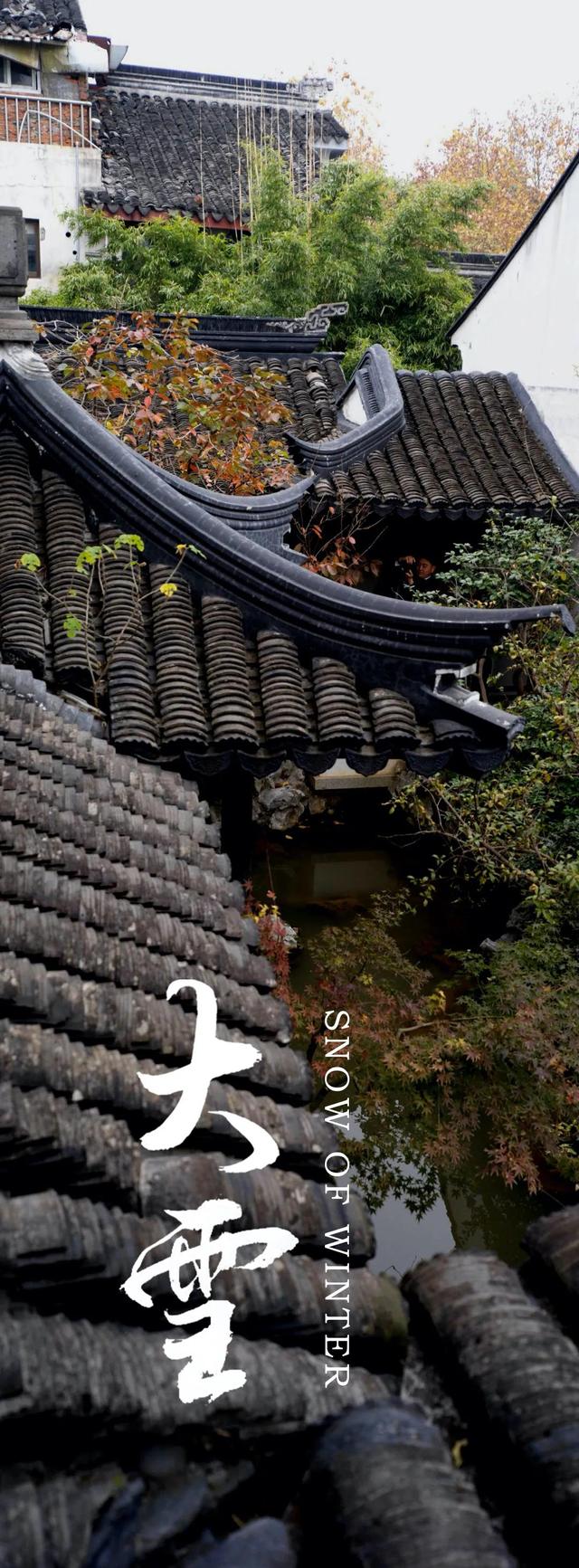 二十四节气 · 大雪 | 新品发布