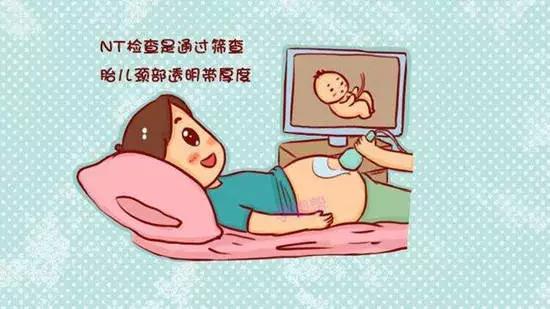 你的育儿经@疫情期间 | 错过NT检查该怎么办？
