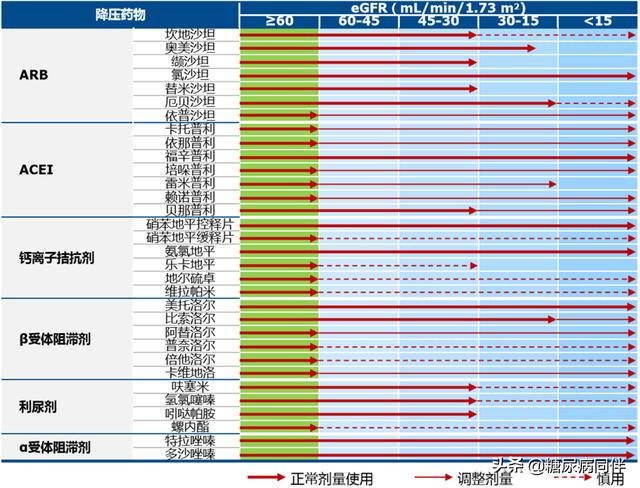 糖尿病肾病患者的降压治疗