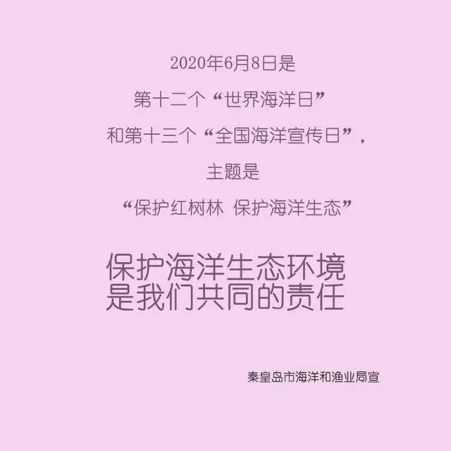 「世界那么大」共同守护秦皇岛的这片海,市海洋渔业局开展“海洋日”宣传活动