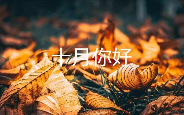 9月再见，10月你好，请?努力继续风雨兼程！