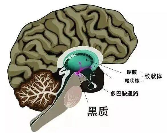 患者|这个病会使人心性大变？