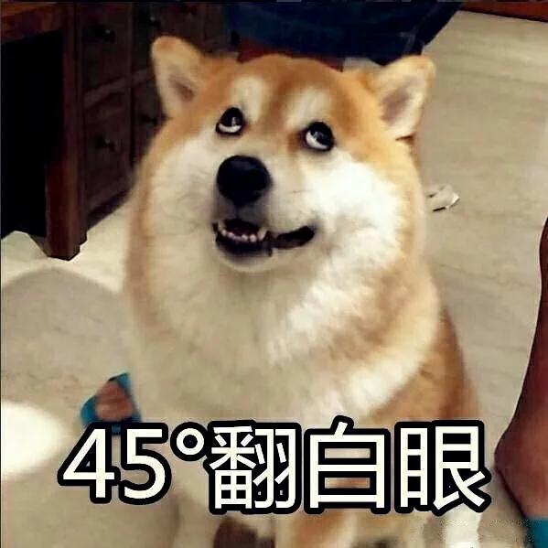 寻梦青年|取消三胎以上罚款？在厦门，你愿意生三个吗？网友的回答很真实