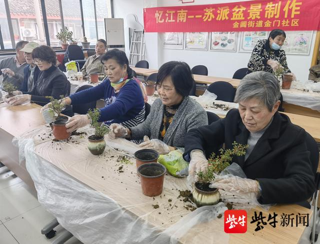 盆景|学习家庭绿植养护技巧，找到绿色种植的快乐