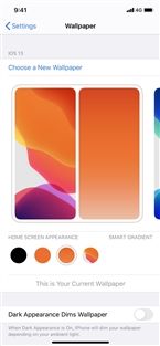 太平洋电脑网：iOS 14首批截图曝光：壁纸设置大调整 还有这些也调整