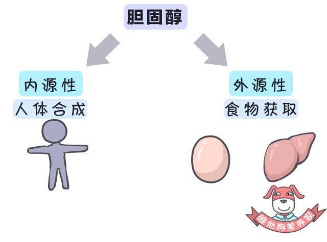 胆固醇超标有哪些并发症？高胆固醇患者饮食上要注意3点，留意下