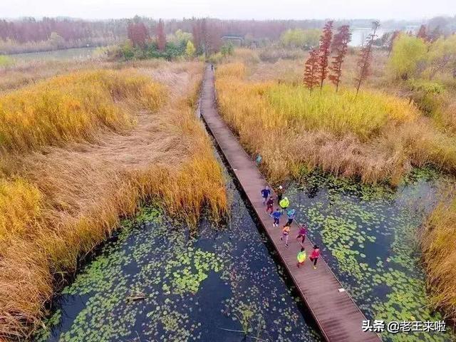 旅记■徐州多条最美跑步线路推荐！看看这些网红地，你打卡过几处？