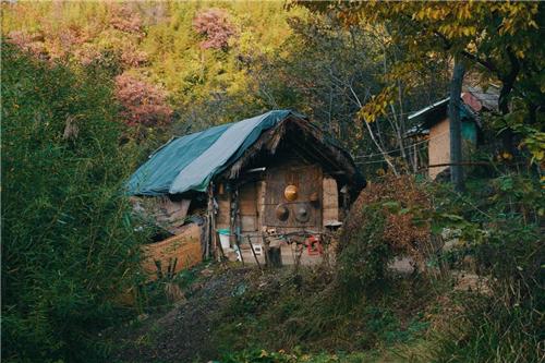 终南山隐士：万人隐居的背后是逃避现实，一场大雪直接原形毕露