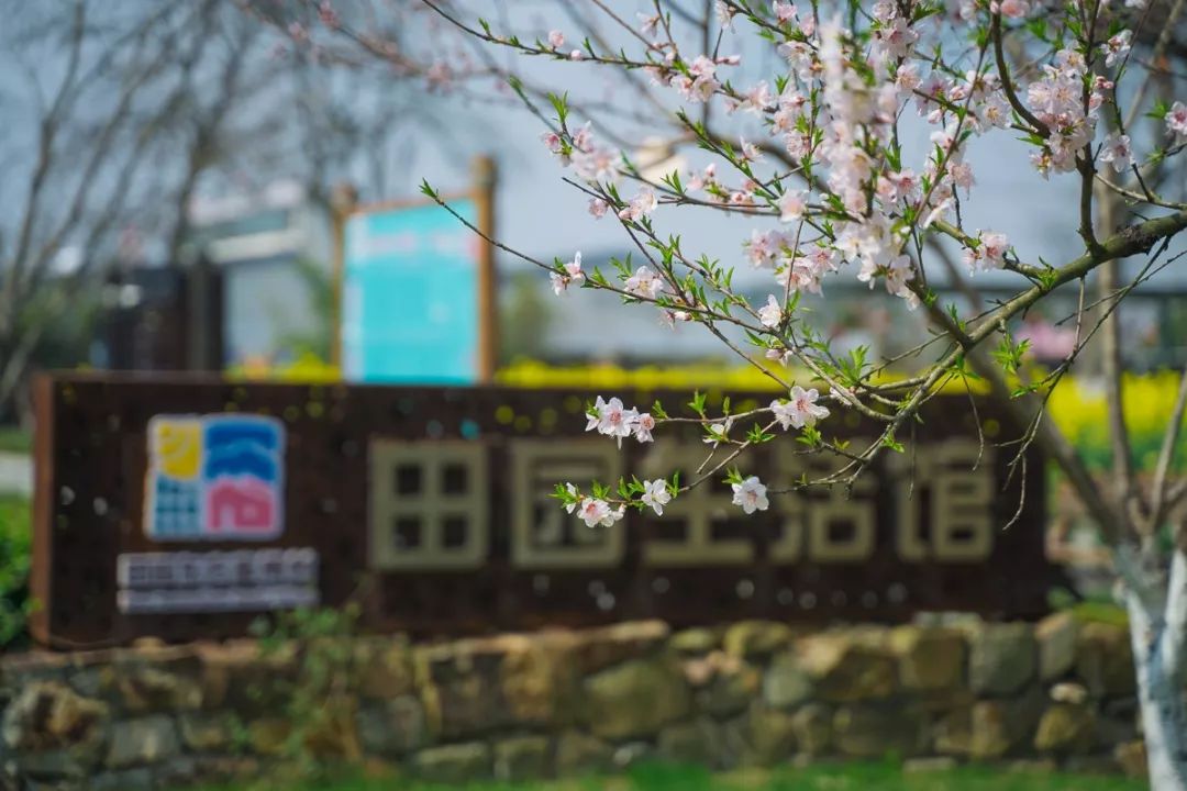 「麻辣杂谈」无锡首批8家景区室外区域明天起将有序开放