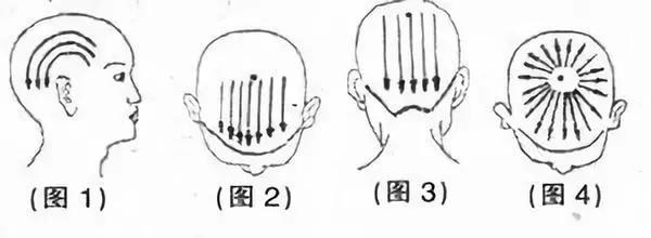 脱发、白发的中医调养方案，快试试吧