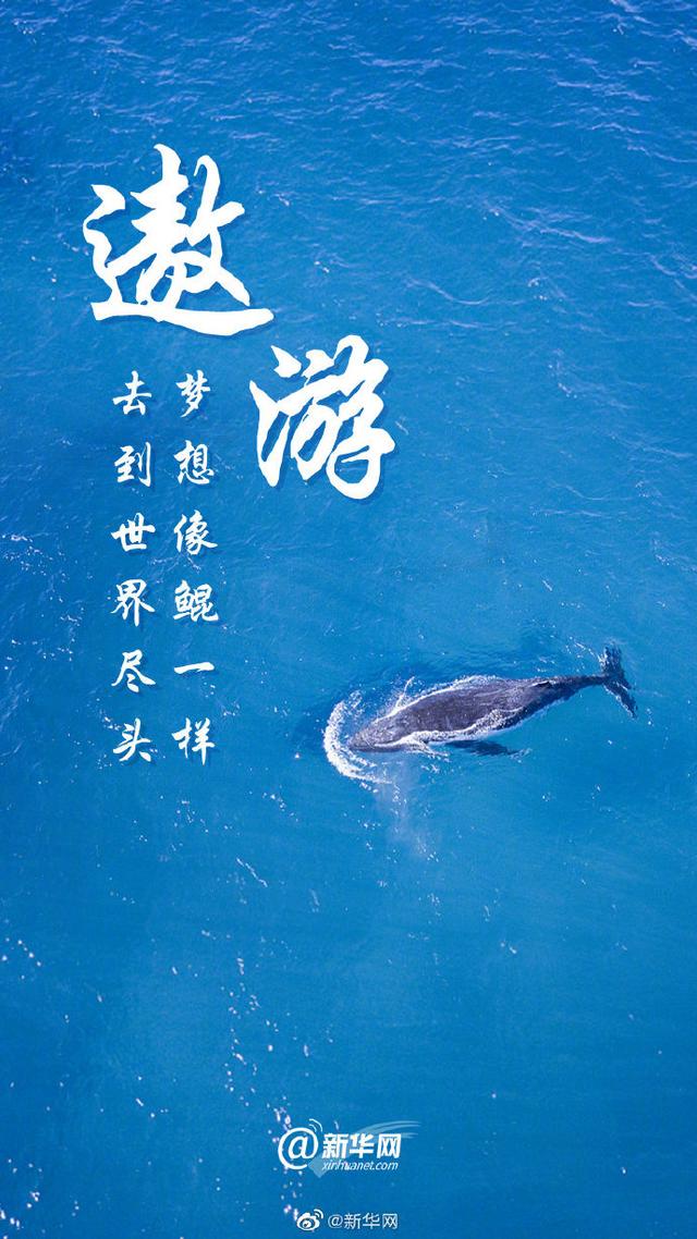 关爱环境 刻不容缓|光明网