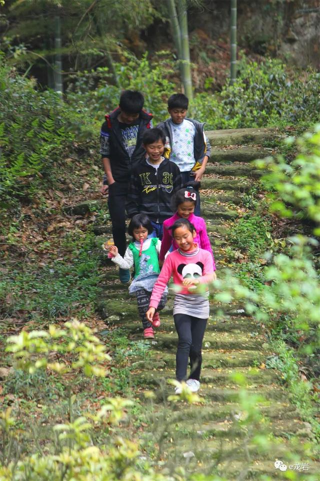 【玩乐足迹】超过福厦森林步道！来了解下从龙岩出发的武夷山国家森林步道全长